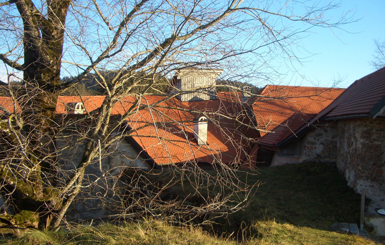 Burgfelsen
